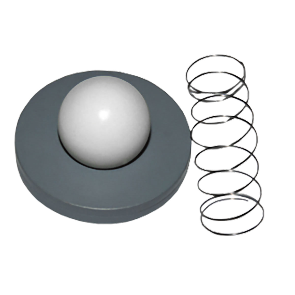 Mazzei Injector Rebuild Kit, PurClean 6031.540-CR-4 Questions & Answers